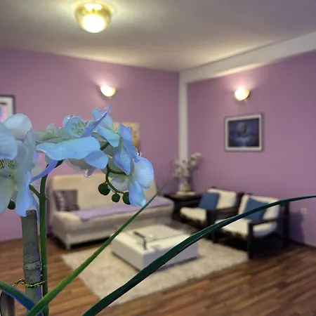 Apartment Riaho