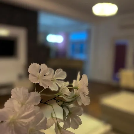 Riaho Apartment *