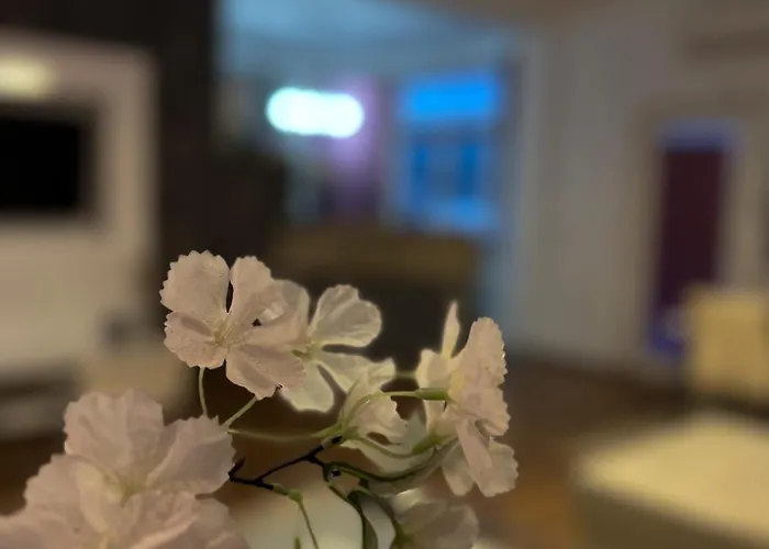 Riaho Appartamento *